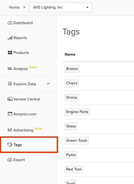Manage Tags Section